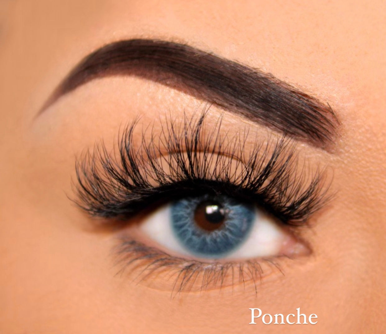 Ponche