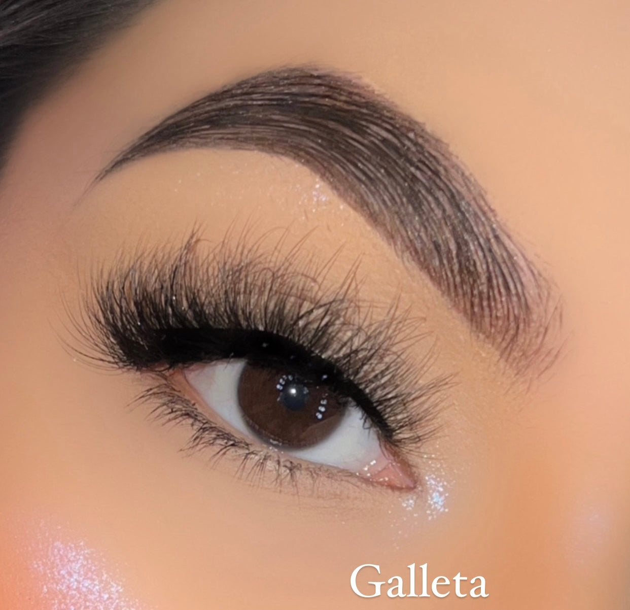 GALLETA