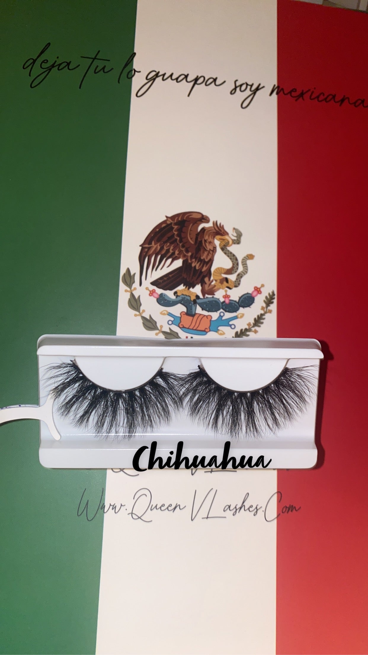 Chihuahua