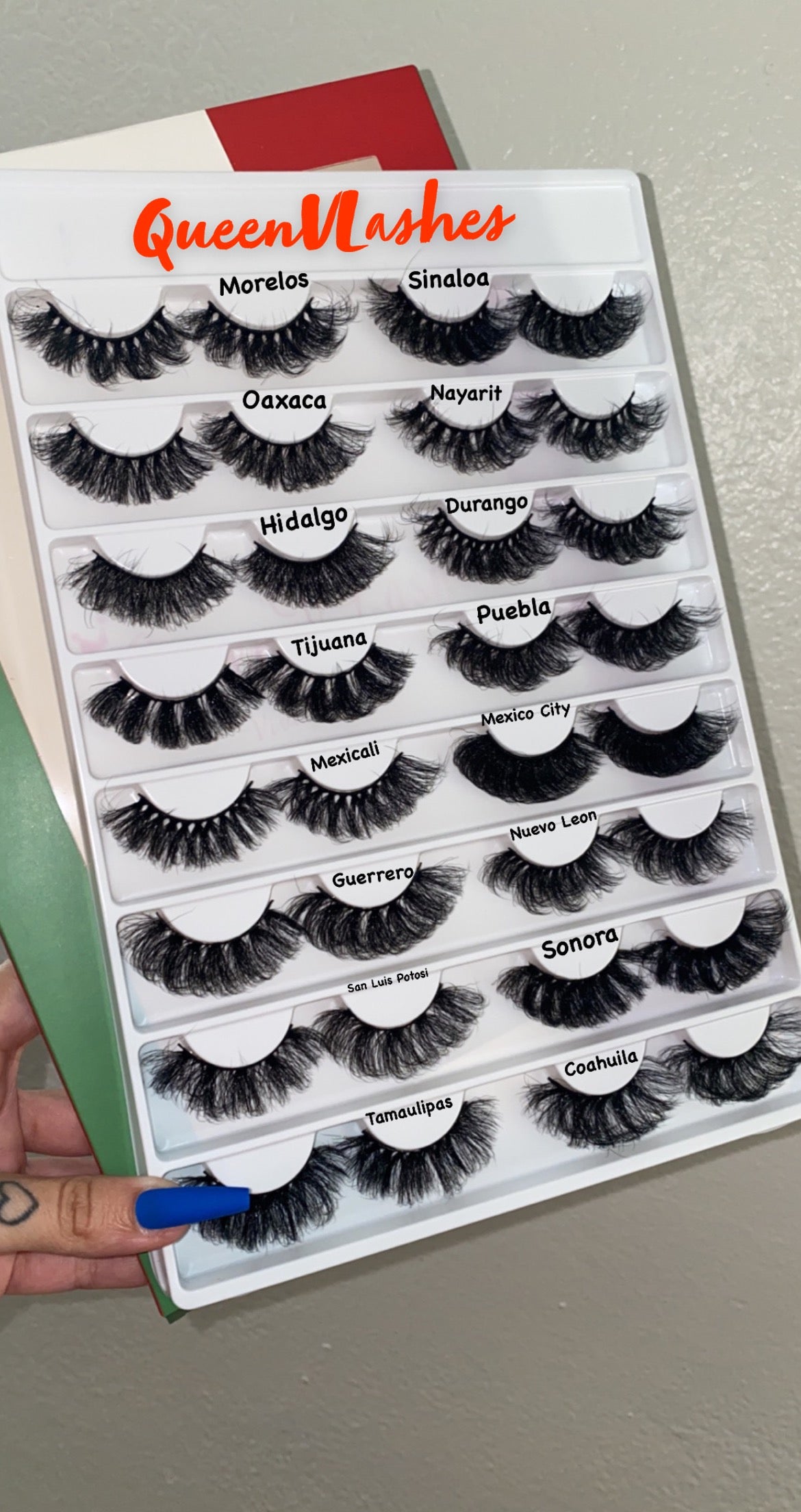 Estados LashBook Volume 2 🇲🇽